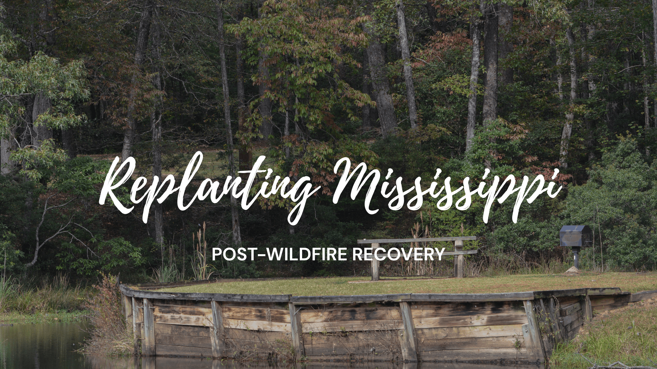 Mississippi Post-Wildfire