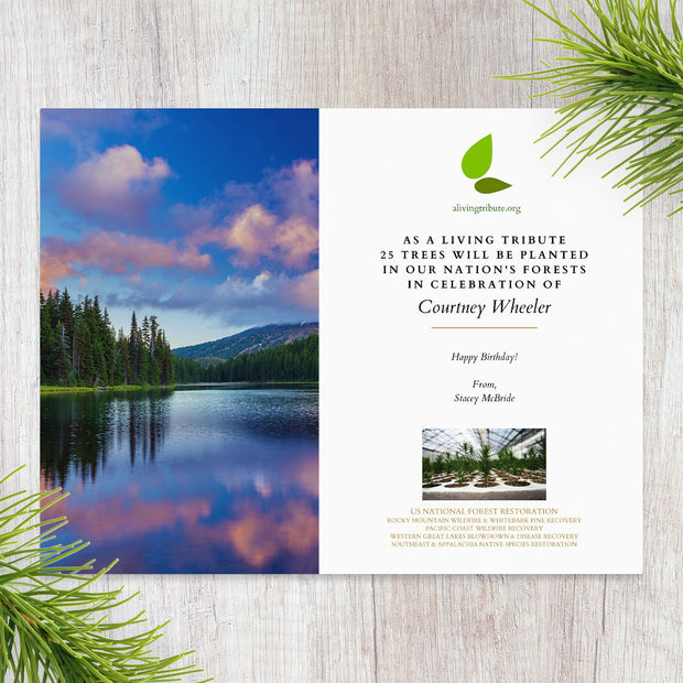 Plant-a-Tree Birthday Card