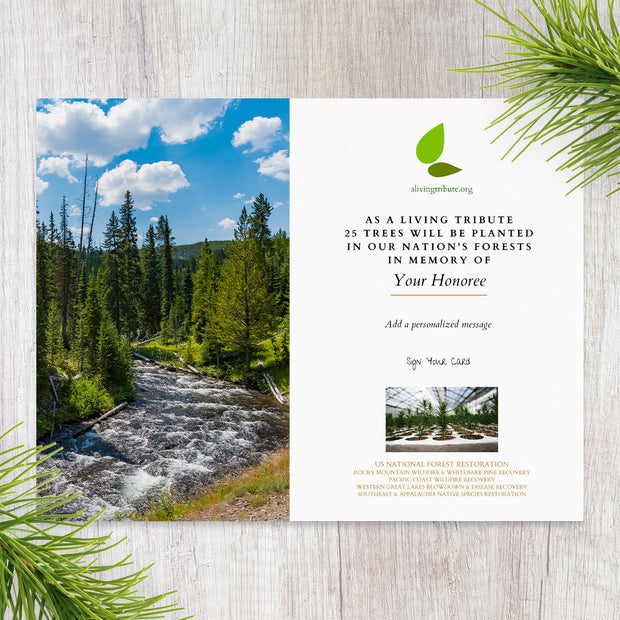 A personalized memorial tree card depicting a scenic view of a forest and a stream, with space for a personal message.