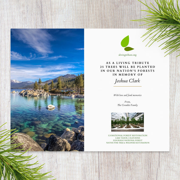 Plant-a-Tree Gift with Deluxe Photo Card