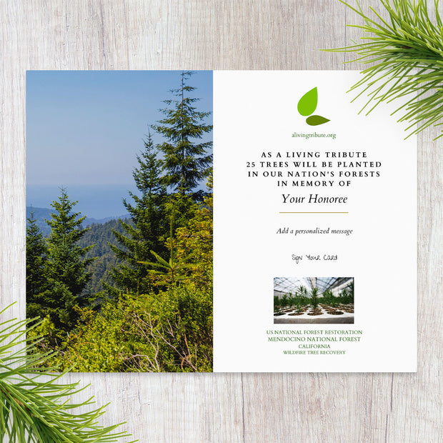 Plant a Tree in Honor or Memory in a California National Forest - A Living Tribute
