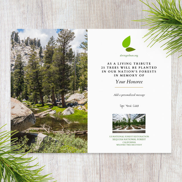 Plant a Tree in Honor or Memory in a California National Forest - A Living Tribute