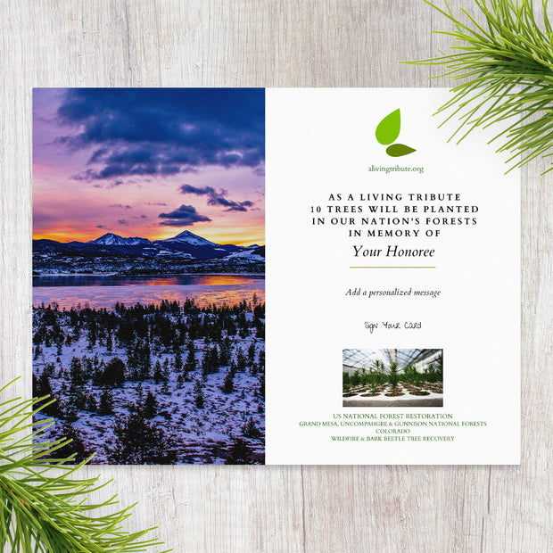 Plant-a-Tree Gift with Deluxe Photo Card