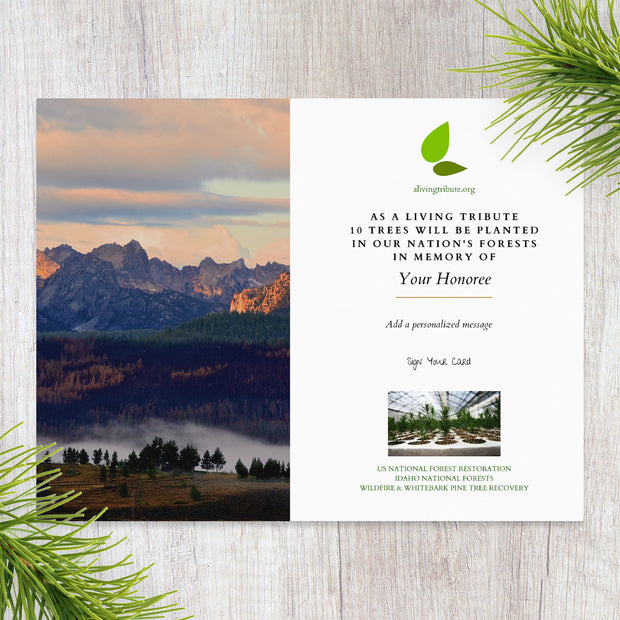 Plant a Tree in Memory Idaho