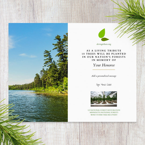 Plant a Tree Memorial Card - Minnesota