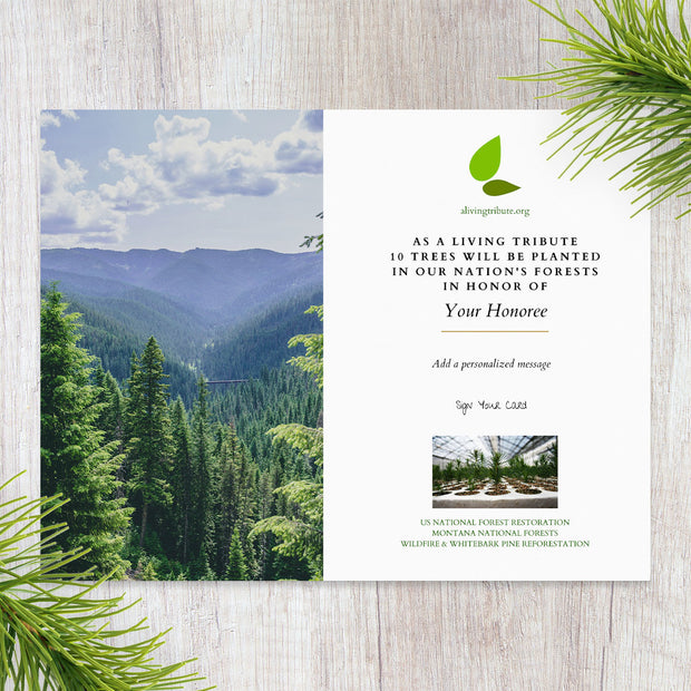 Plant a Tree in Memory Montana