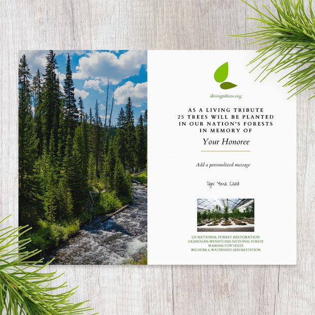 Plant a Tree in Memory WA