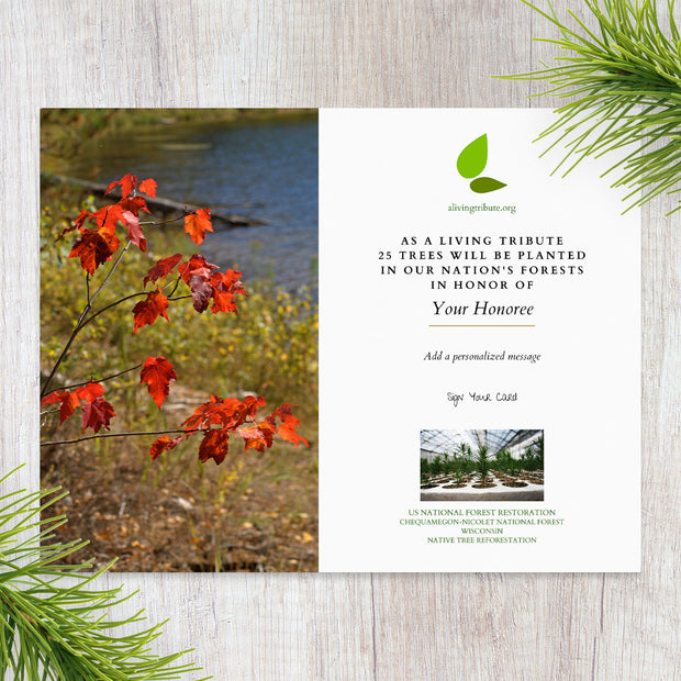 Plant a Tree in Memory Wisconsin