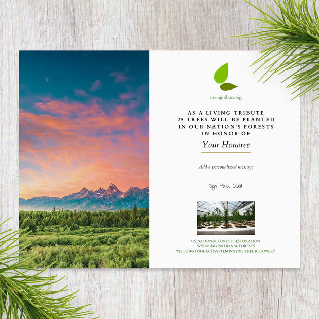 Plant a Tree in Honor Wyoming