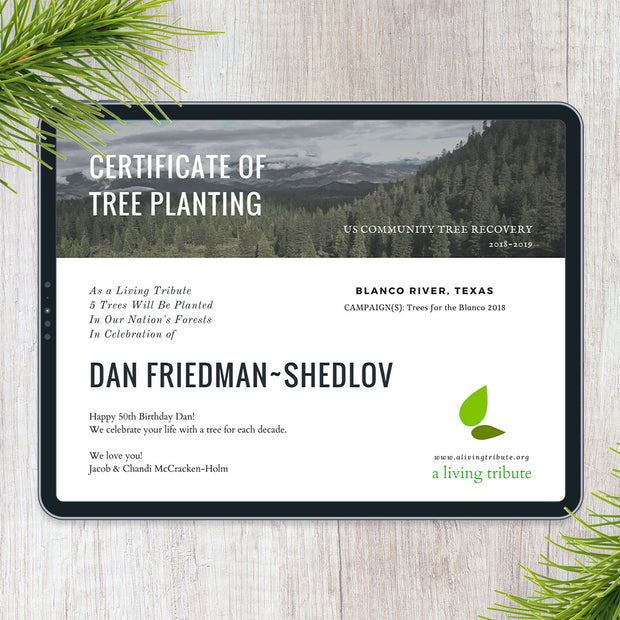 Plant-a-Tree E-Certificate
