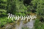 Plant a Tree in Mississippi