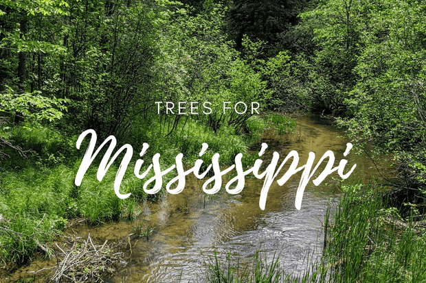 Plant a Tree in Mississippi