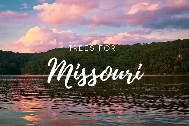 Plant a Tree in Missouri