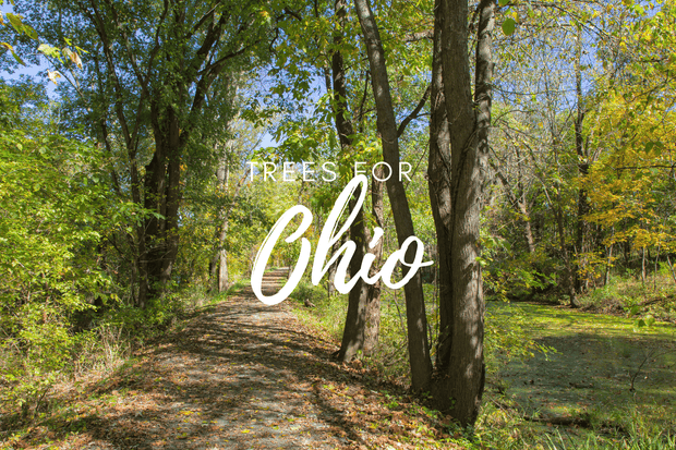Plant a Tree in Ohio
