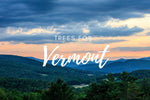 Plant a Tree in Vermont