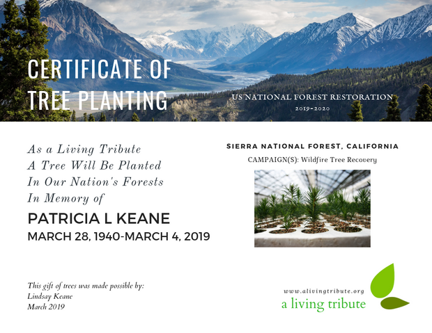 Plant-a-Tree E-Certificate - California