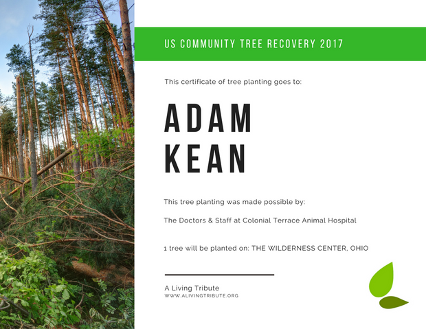 Plant-a-Tree Gift with E-Certificate