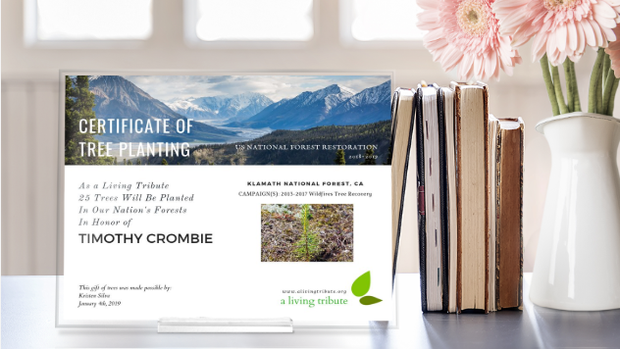 A Living Tribute E-Certificate printed out and displayed