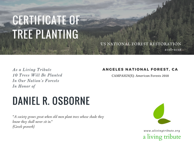 Plant-a-Tree Gift with E-Certificate