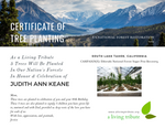 Lake Tahoe Reforestation E-Card