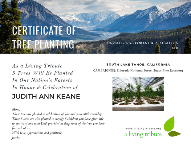 Lake Tahoe Reforestation E-Card
