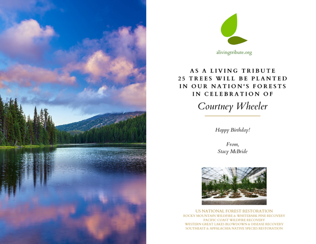 Close up of Plant-a-Tree Birthday Card