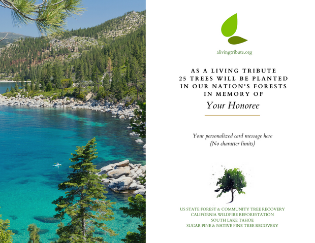 A Living Tribute - California Wildfire Restoration