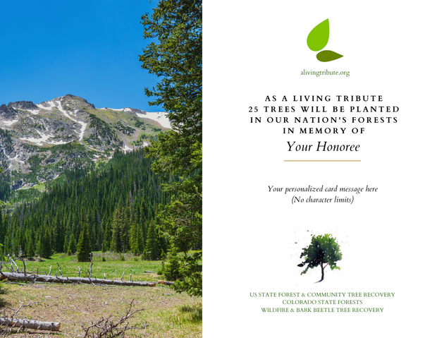 A Living Tribute - Colorado State Forests