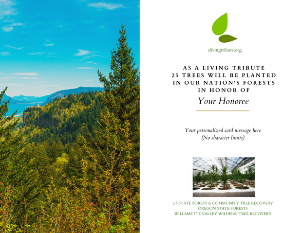 A Living Tribute - Oregon State Forests