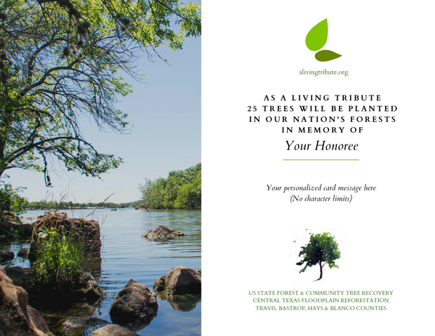 Plant a Tree for Someone & Restore a Community - A Living Tribute