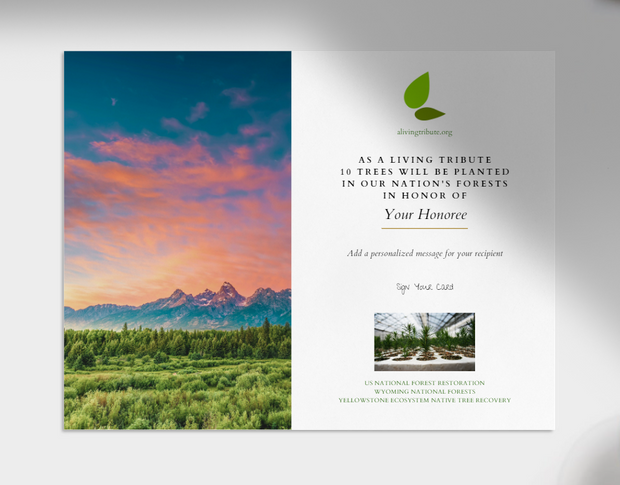 Wyoming Tribute Card