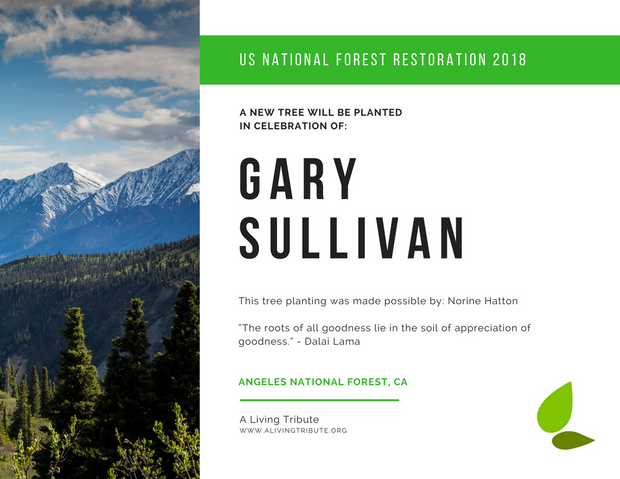 Plant-a-Tree Gift with E-Certificate