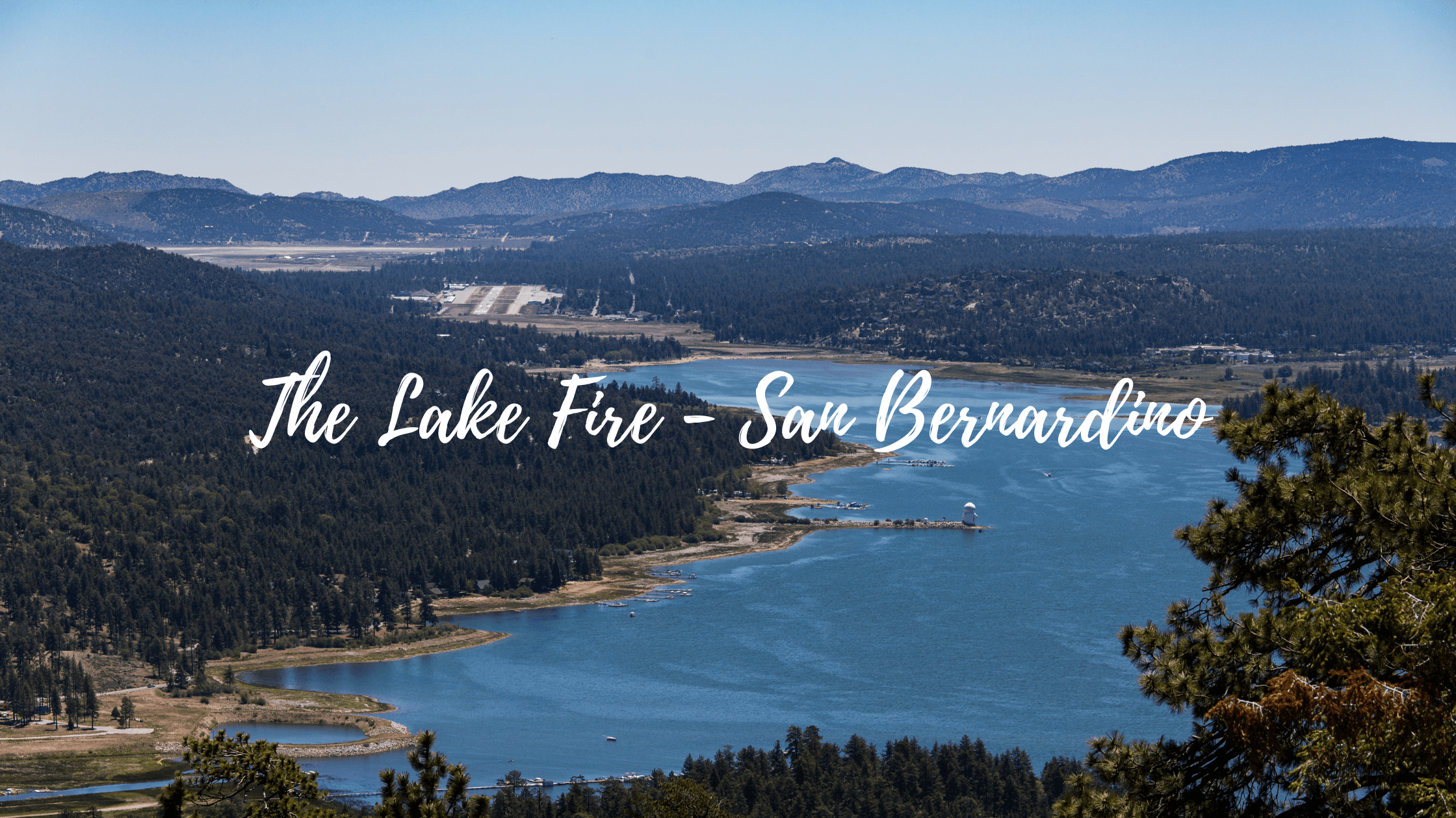 Lake Fire Reforestation: New Life in the San Bernardino Mountains