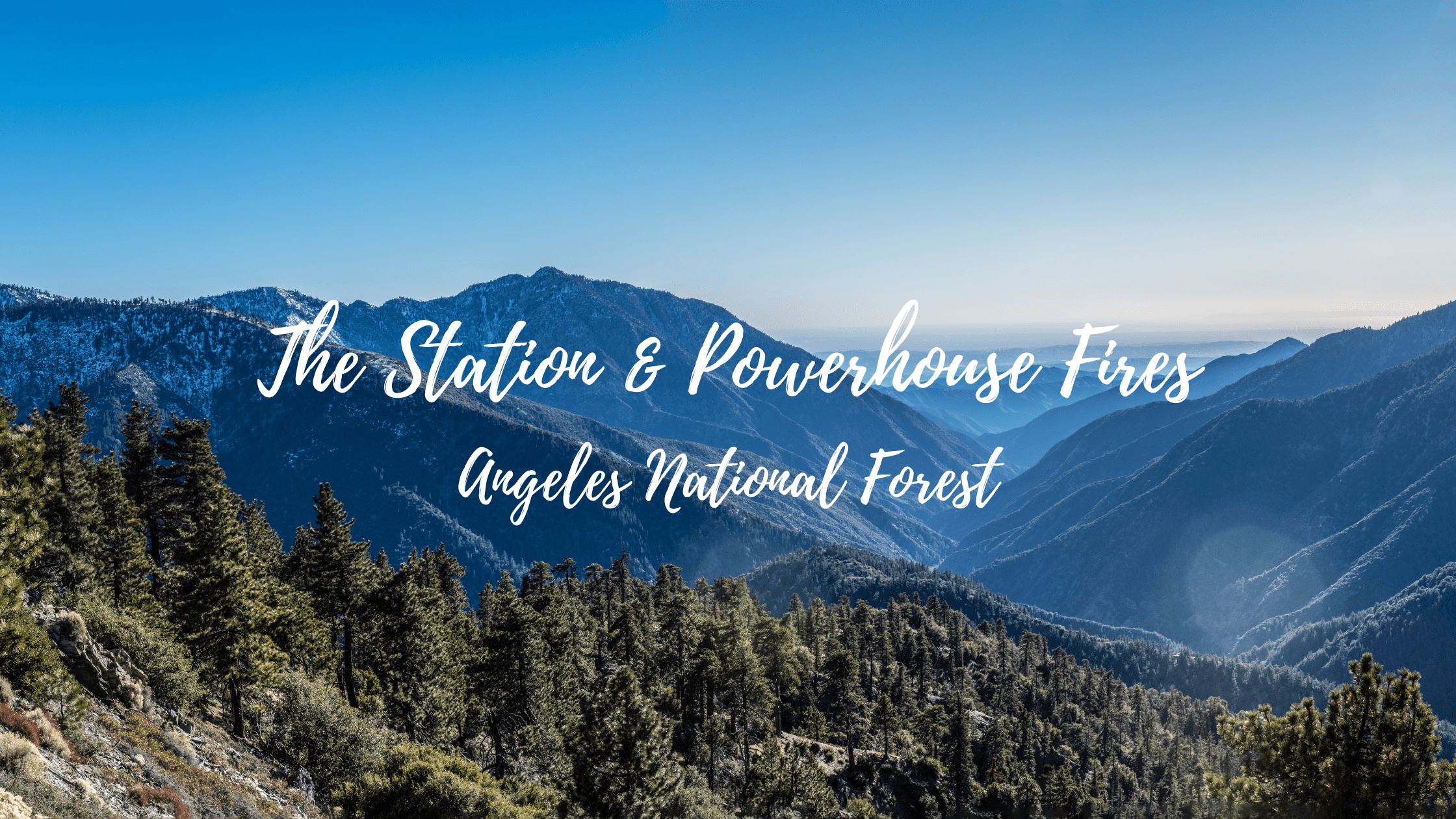 Rebuilding California Forests: Native Tree Planting in the San Gabriel Mountains