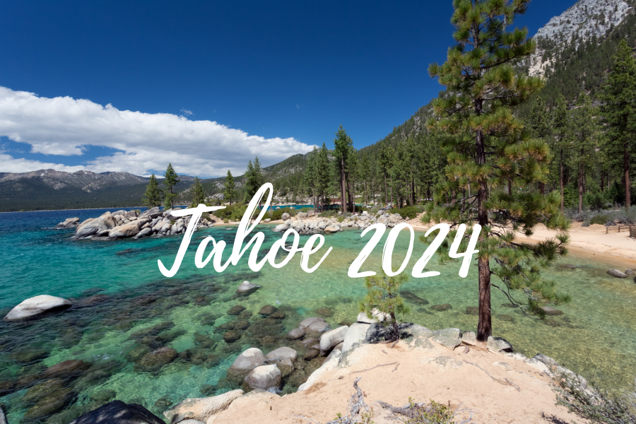 Lake Tahoe Reforestation Sites (2024)