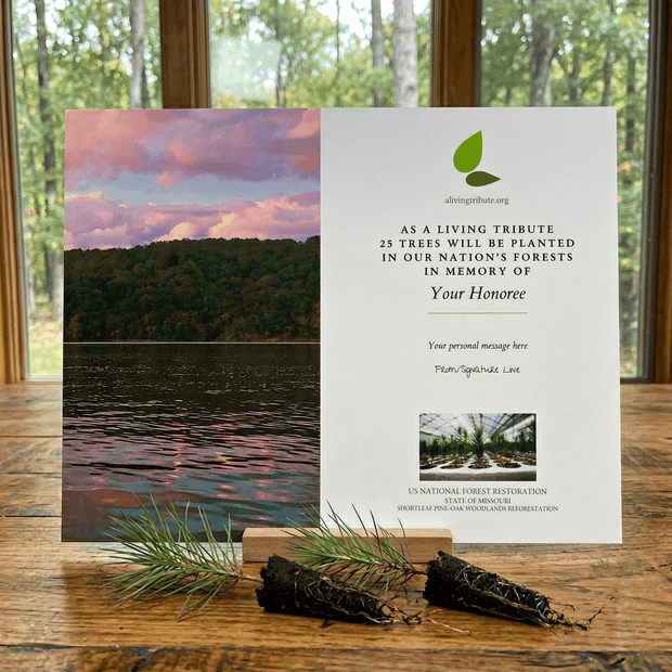 Memorial card with nature-themed design on a wooden surface with a window in the background.
