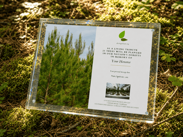 A Living Tribute - Crystal Tribute Tree Planting Gift
