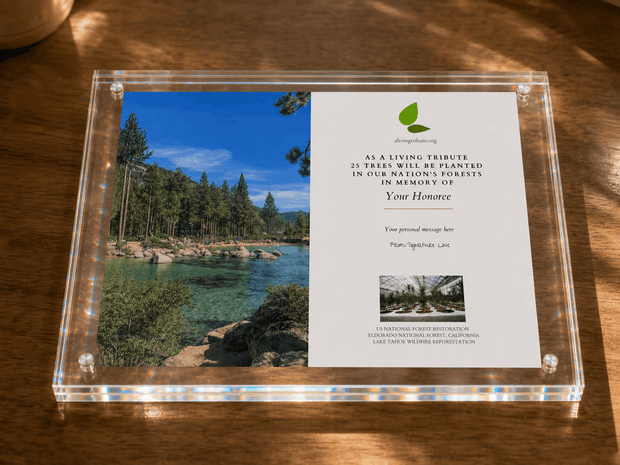 A Living Tribute - Crystal Tribute Tree Planting Gift
