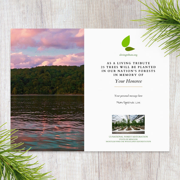 Plant a Tree in Memory in Missouri