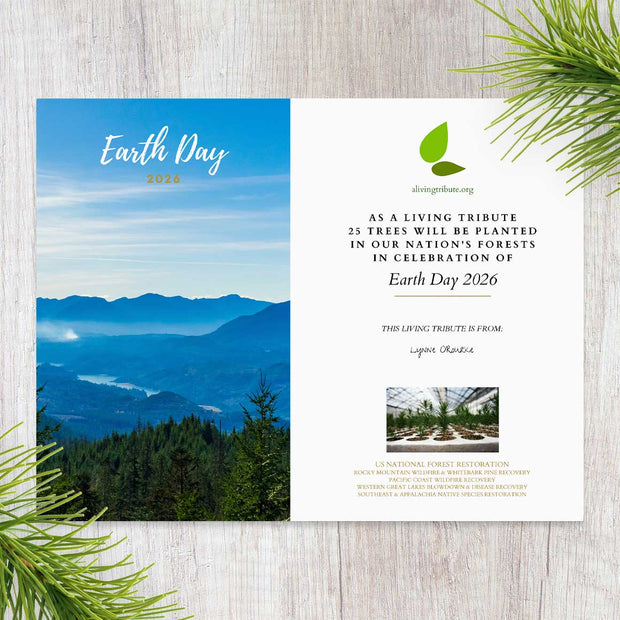 Earth Day tree planting gift and commemorative card and seedling

