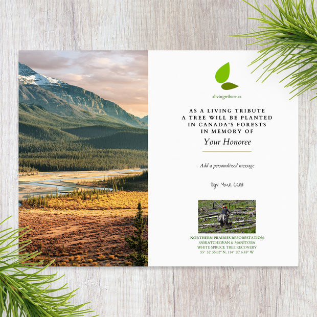 Plant a Tree in Manitoba