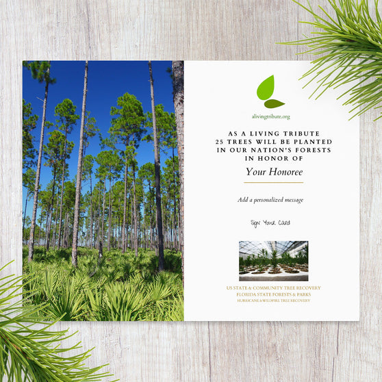 A commemorative card for planting trees in Florida with a background image of a forest clearing with tall trees under a blue sky.