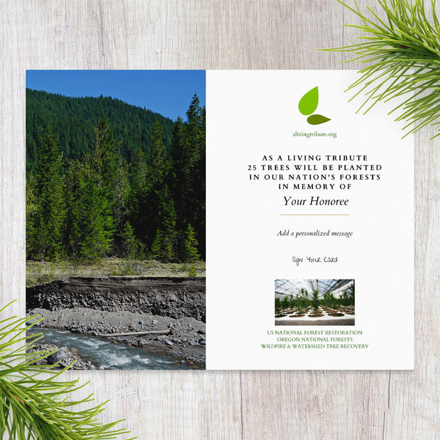 Plant-a-Tree Gift with Deluxe Photo Card