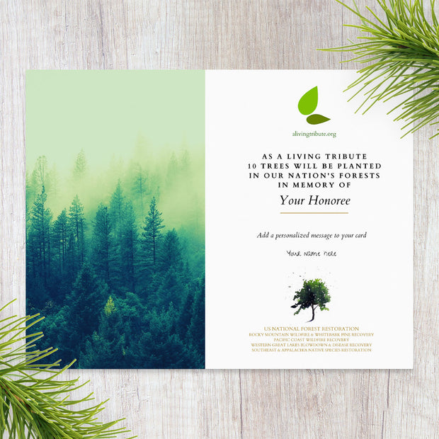 Send a Reforestation Sympathy Card - A Living Tribute®