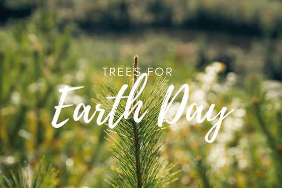 Earth Day 2026 card with tree and nature-themed design on a wooden surface.