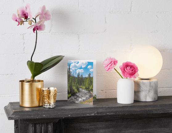 Plant a Tree Cards from A Living Tribute