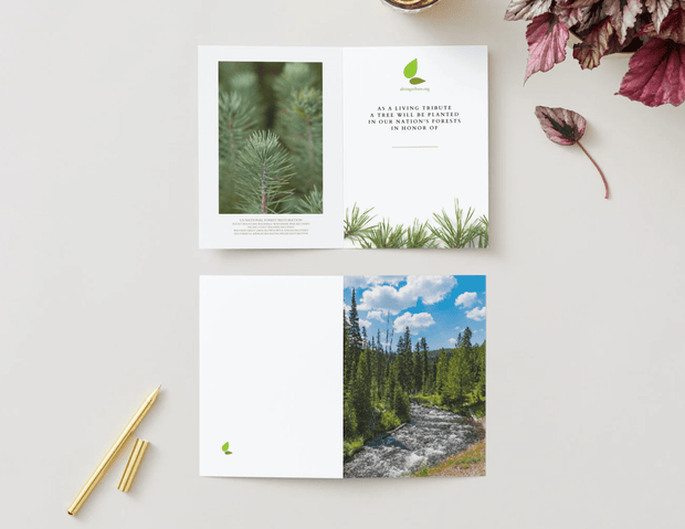 A Living Tribute Plant a Tree Cards