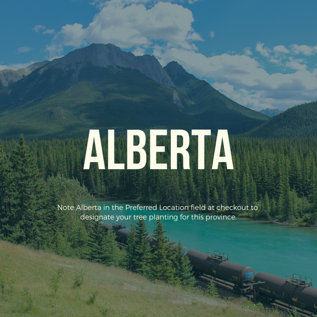 Plant a Tree in Canada with Personalized Photo Card