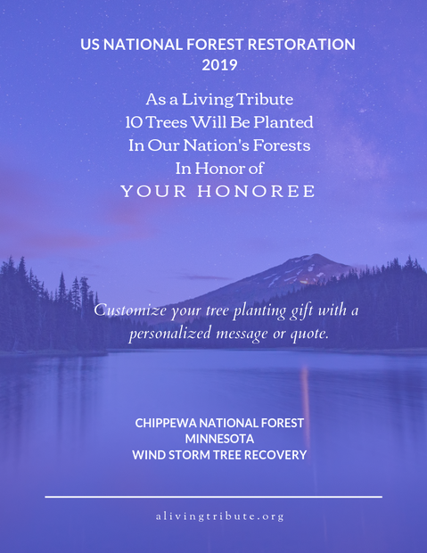 Plant-a-Tree Gift with Deluxe Glass Display Frame