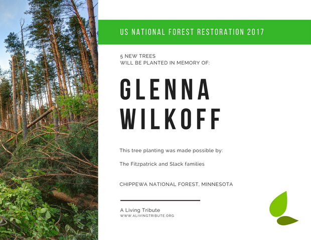 Plant-a-Tree Gift with E-Certificate